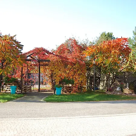 Amigo Сулеювек